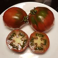 Emerald Truffle brun